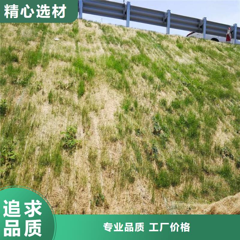 【椰丝毯-土工布品质之选】