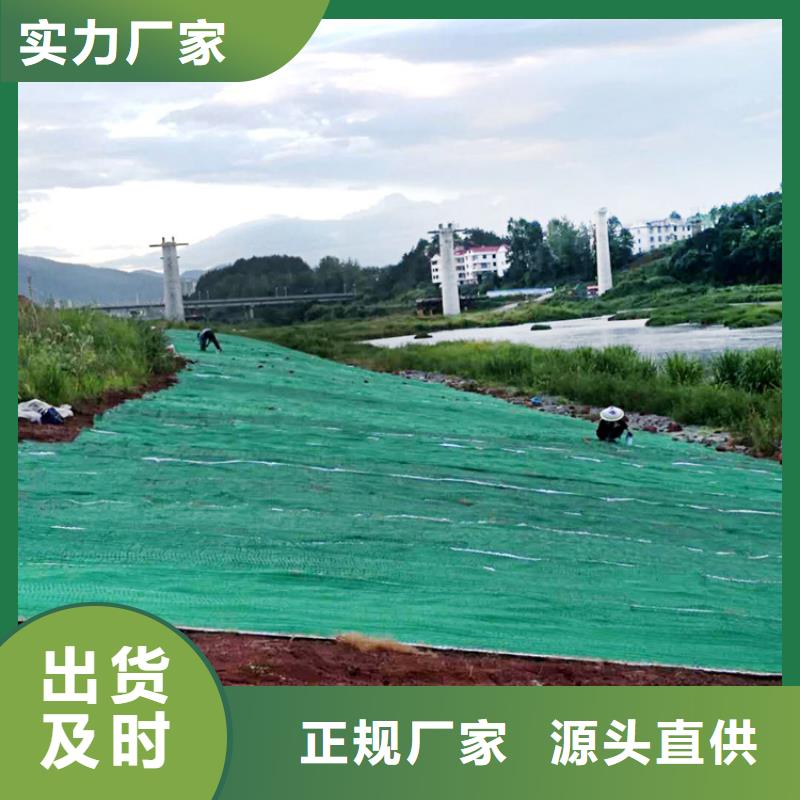 【椰丝毯】土工网垫专注生产N年