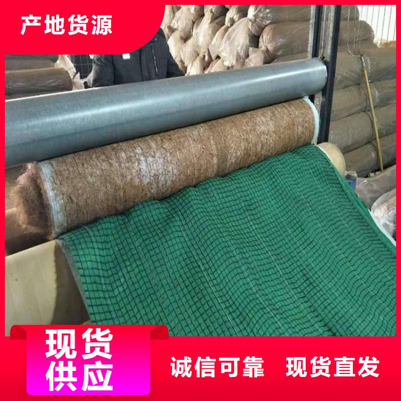 椰丝毯,土工网垫快速发货