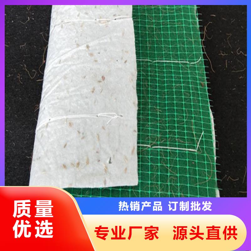 椰丝毯-双向塑料土工格栅从源头保证品质