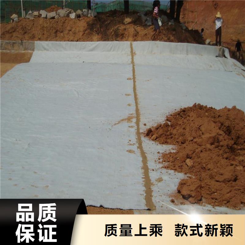膨润土防水毯,【土工膜】自产自销