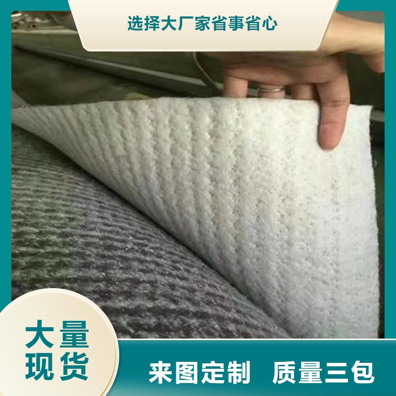 【膨润土防水毯_防渗膜专注品质】