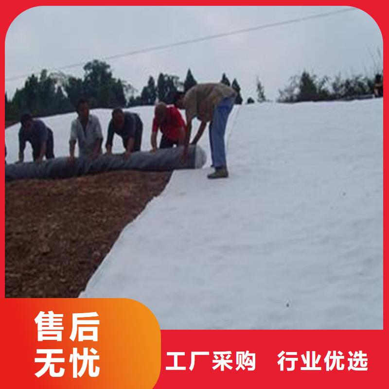 膨润土防水毯土工格栅0中间商差价