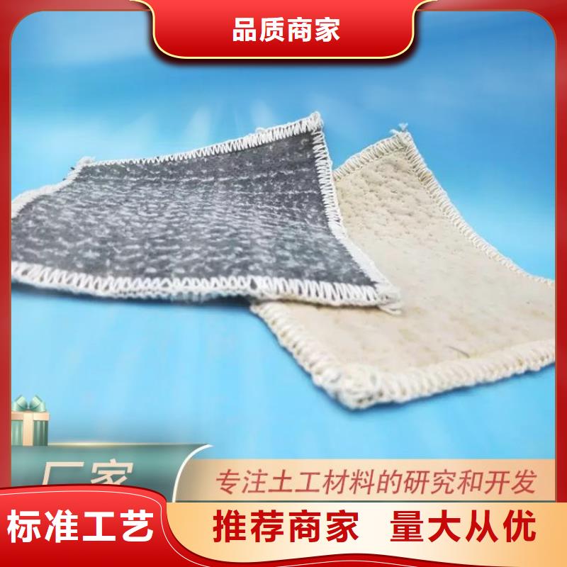 【膨润土防水毯聚酯布专注产品质量与服务】