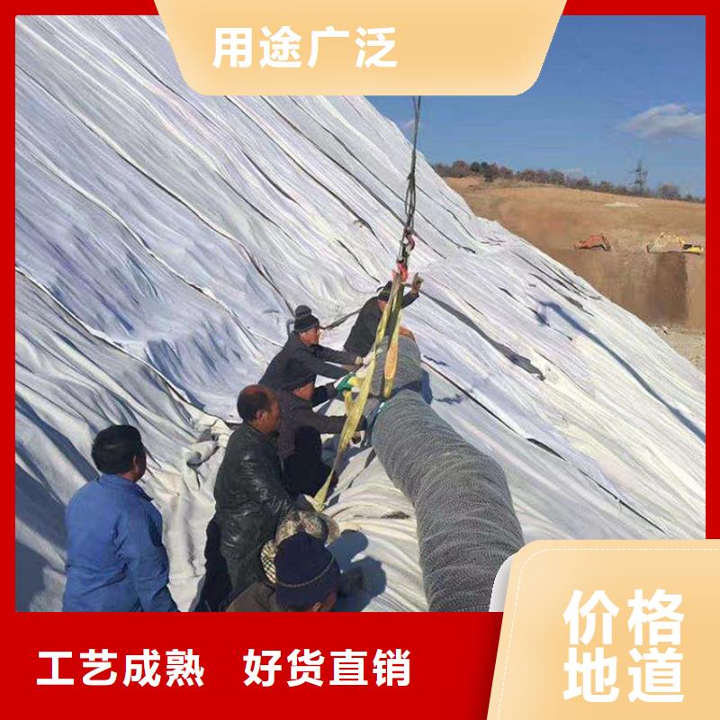 【膨润土防水毯聚酯布专注产品质量与服务】