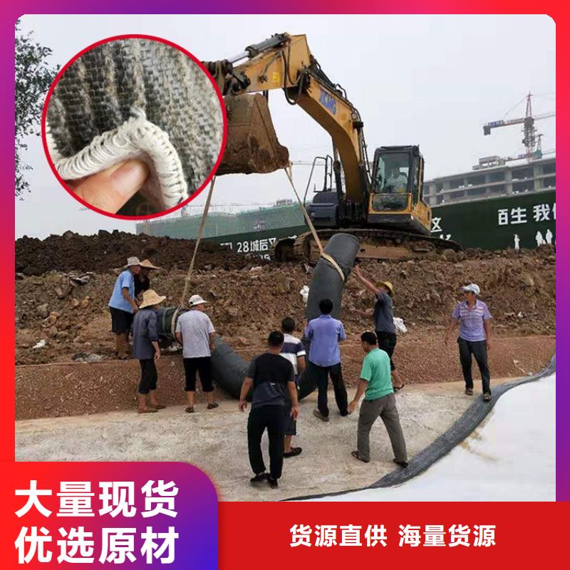 【膨润土防水毯_防渗膜专注品质】