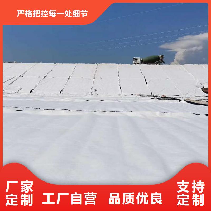膨润土防水毯土工格栅为品质而生产