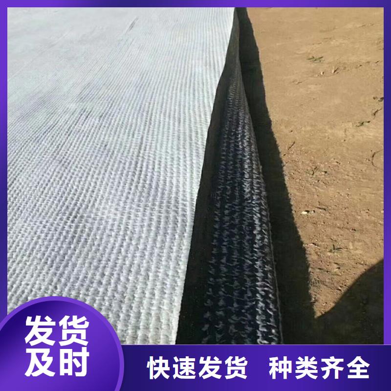 膨润土防水毯植草格品质做服务