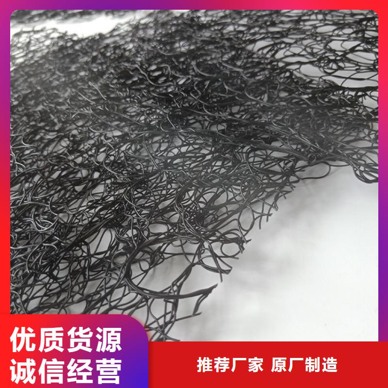 【通风降噪丝网】钢塑土工格栅源头厂家经验丰富