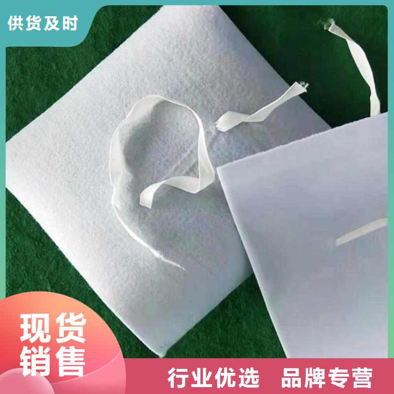 防水板防水毯专注生产N年