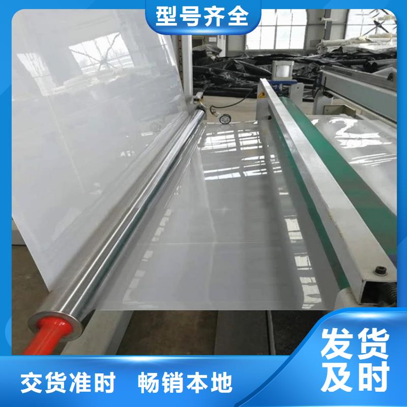 防水板防水毯专注生产N年
