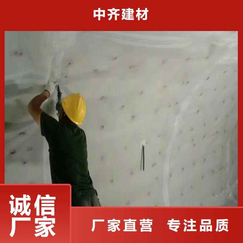 防水板防水毯专注生产N年