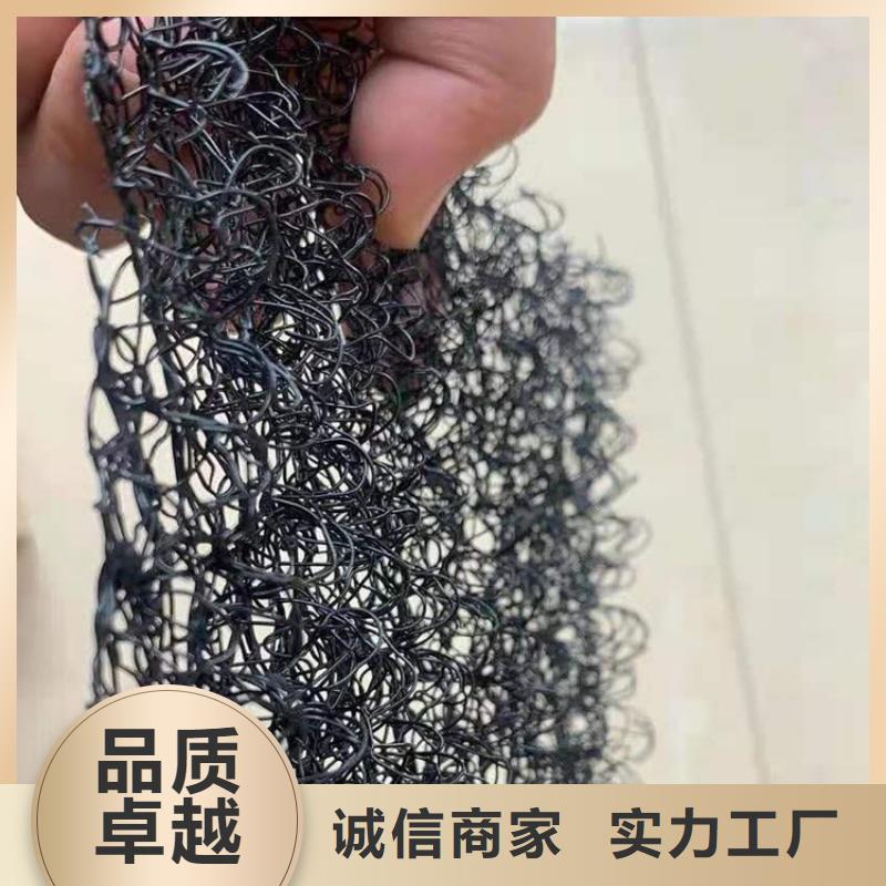 水土保护毯_三维植被网源头厂家来图定制