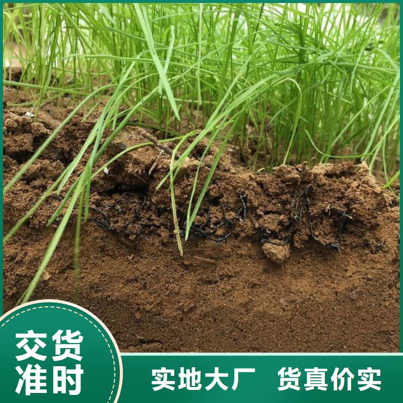 水土保护毯玻璃纤维土工格栅款式多样