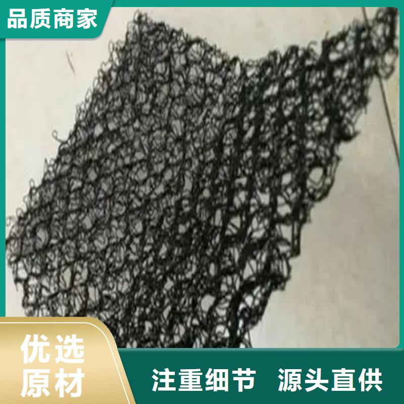 【水土保护毯】土工格栅主推产品
