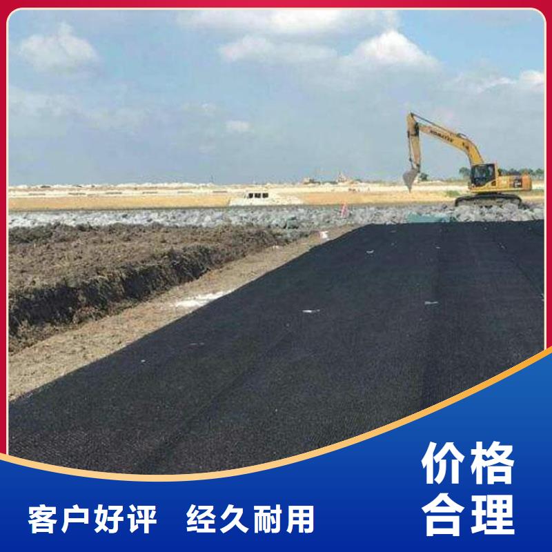 【水土保护毯】_止水带买的放心安兴用的舒心