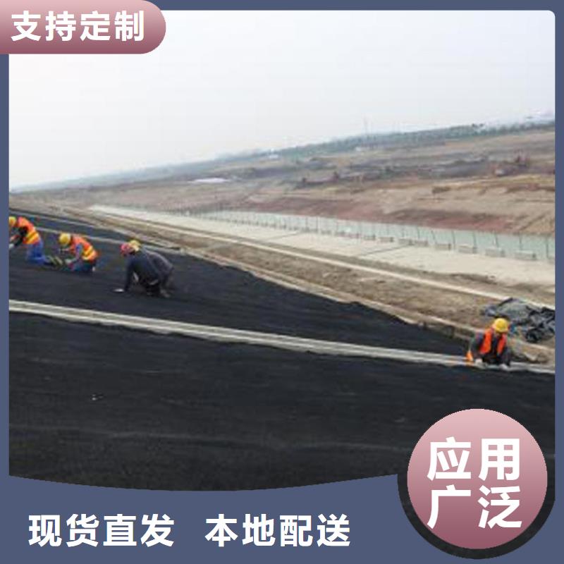 水土保护毯-抗裂贴源头厂家直销