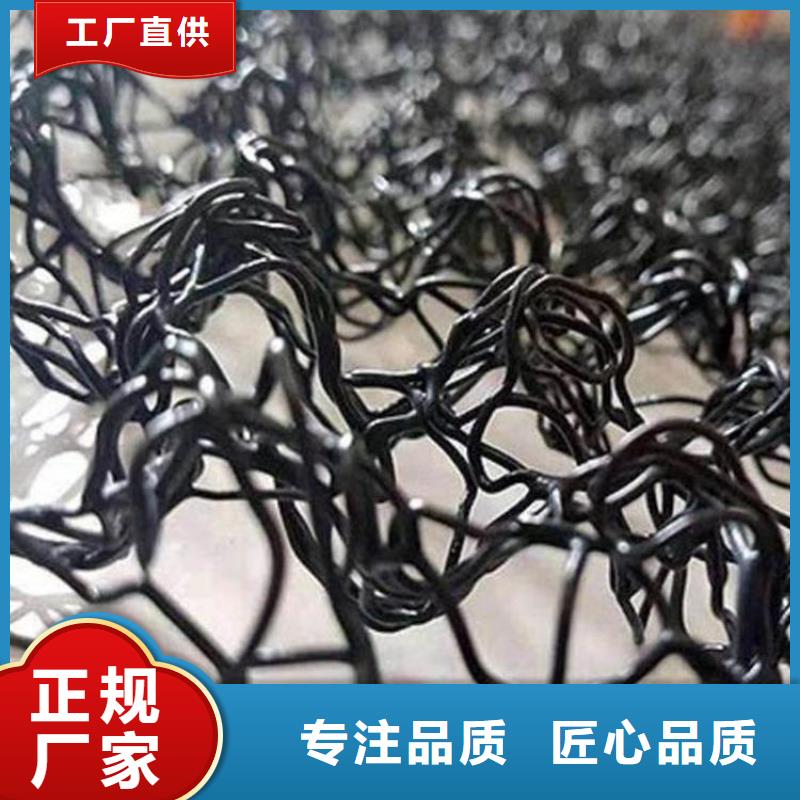 水土保护毯土工格栅贴心服务
