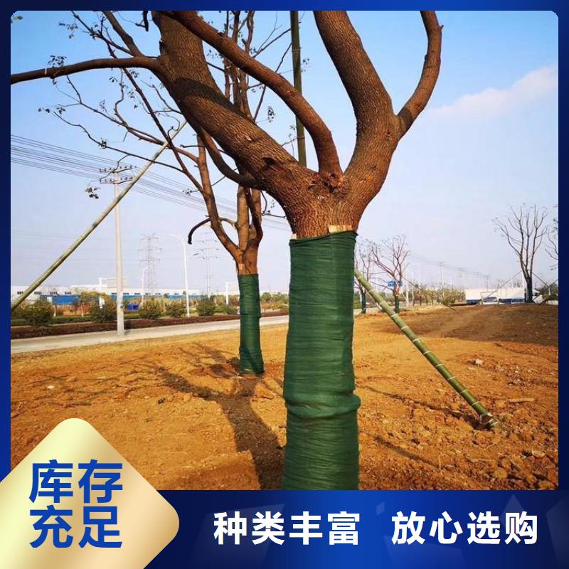 裹树布,机织布诚信经营