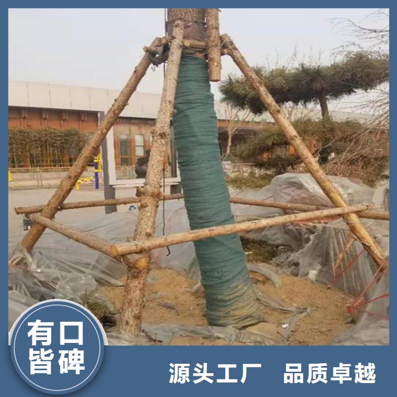 厂家批发价【中齐】裹树布HDPE土工膜经久耐用