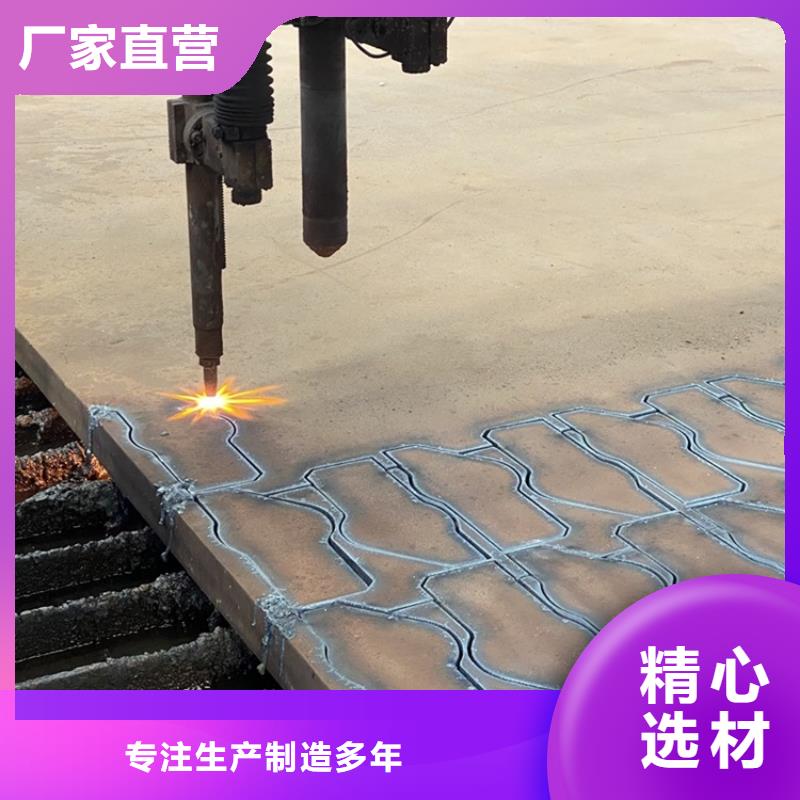 合金钢板猛板多年行业经验