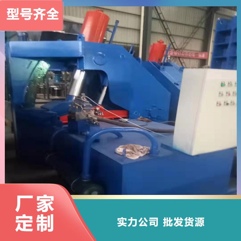 龙门剪卧式金属压块机现货销售