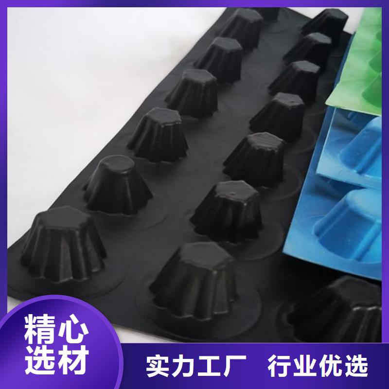 排水板植草格生产经验丰富