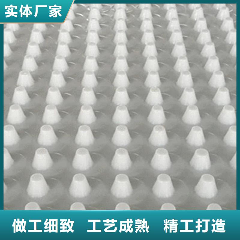 排水板水泥化粪池厂家质量过硬