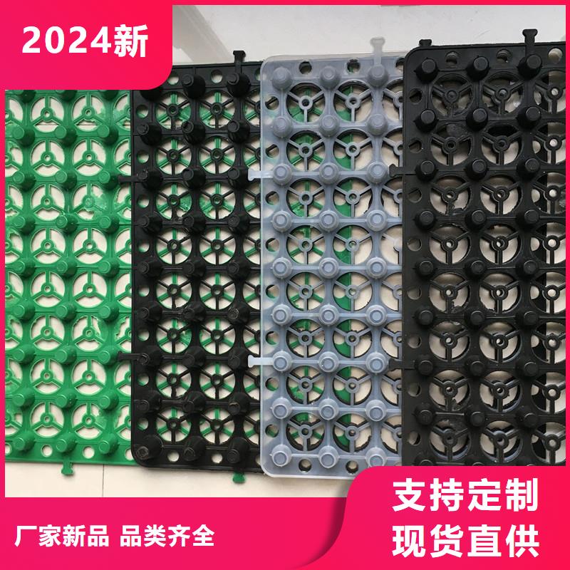 排水板直销厂家