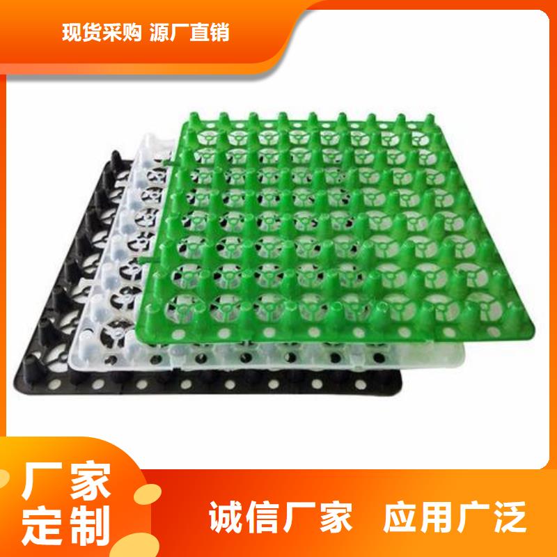 排水板水泥化粪池型号齐全