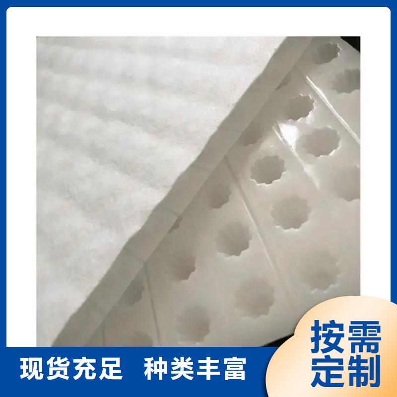 虹吸排水水泥化粪池厂家采购