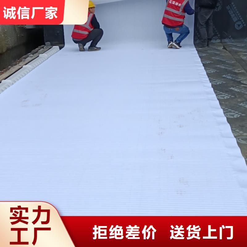 虹吸排水排水板一站式采购
