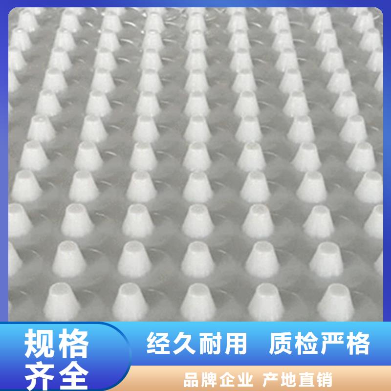 虹吸排水植草格物美价优