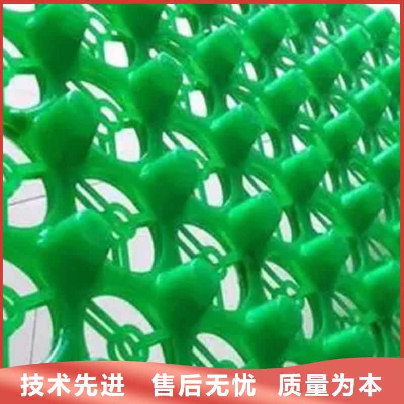 虹吸排水-防护虹吸排水收集系统同行低价