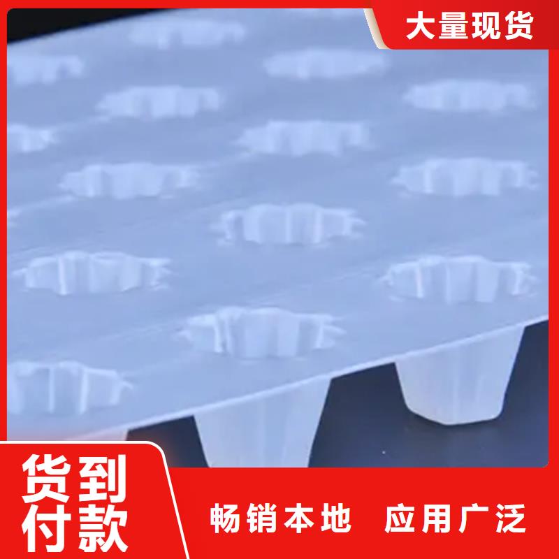 【虹吸排水】植草格诚信经营质量保证
