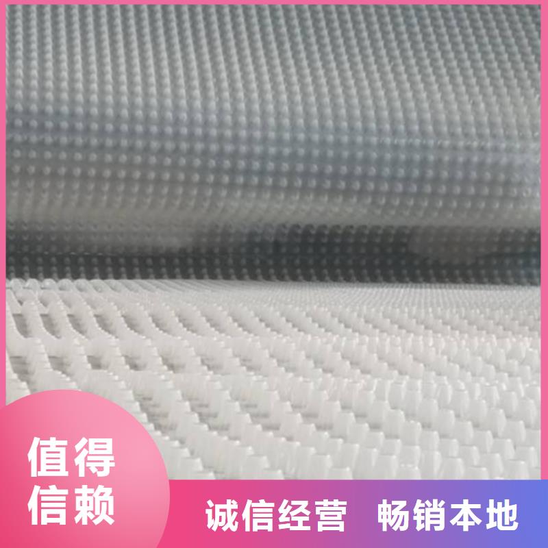 【虹吸排水】植草格诚信经营质量保证