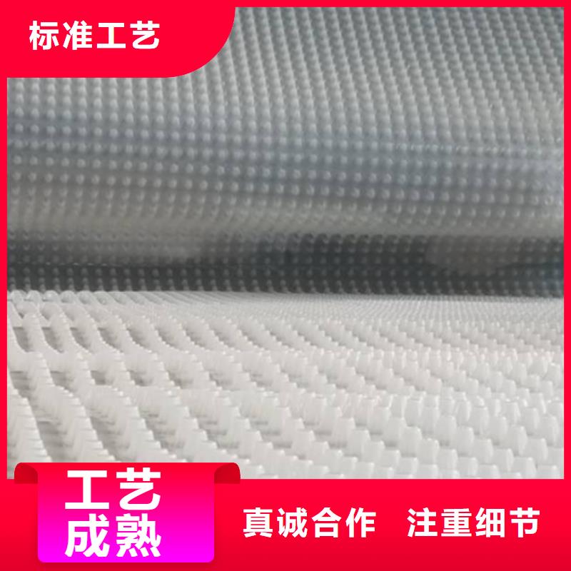 虹吸排水排水板N年生产经验