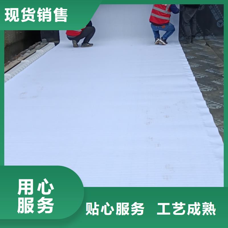 虹吸排水植草格多年行业积累