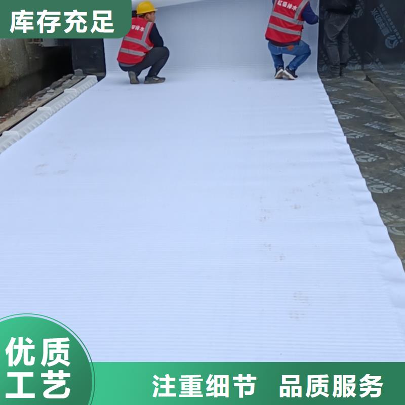 虹吸排水植草格工厂自营
