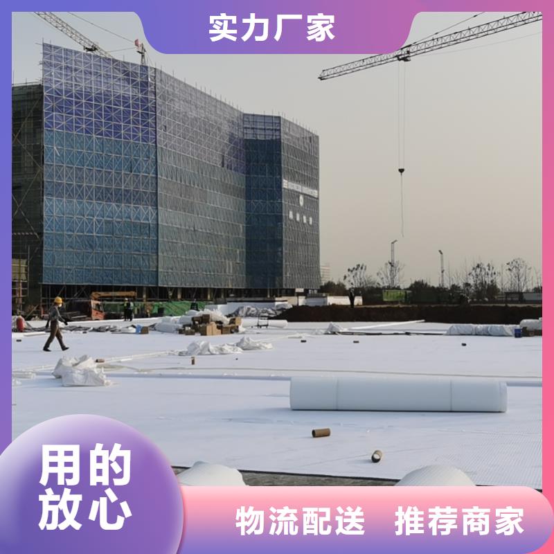【虹吸排水】水泥化粪池敢与同行比价格