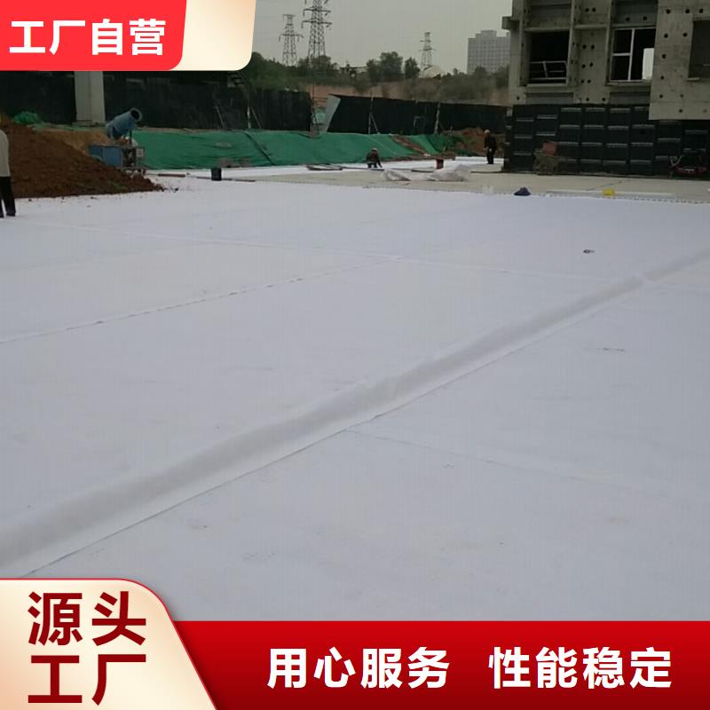 【虹吸排水排水板现货直供】