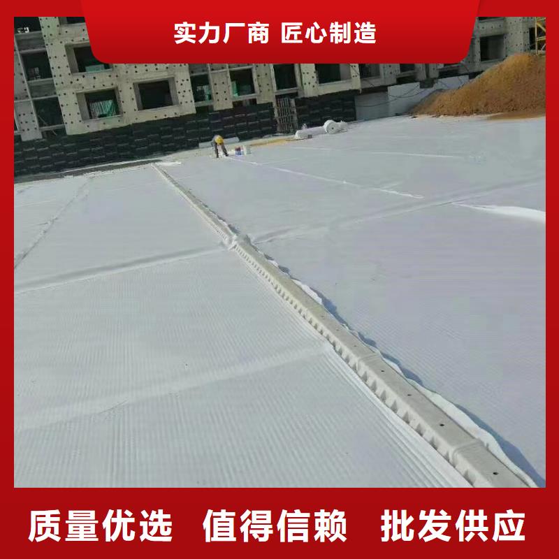 虹吸排水_水泥化粪池用心做品质