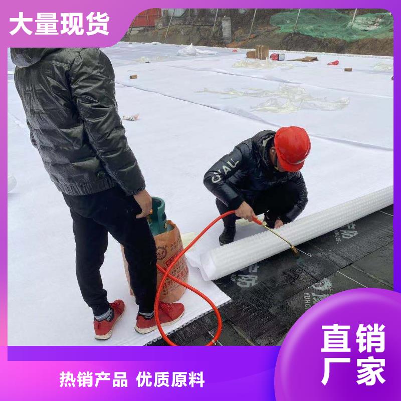 虹吸排水水泥化粪池多年实力厂家