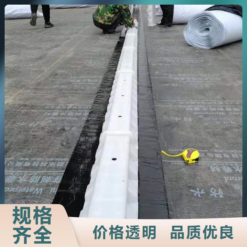 虹吸排水植草格品质优选