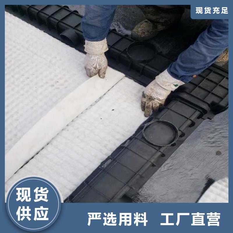 【虹吸排水排水板现货直供】