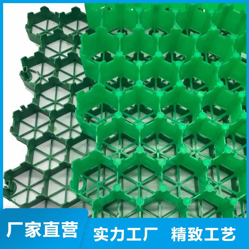 植草格植草格品质过硬