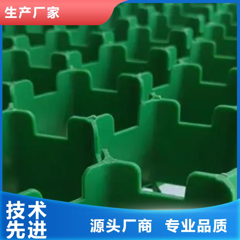 植草格防护虹吸排水收集系统实力商家供货稳定
