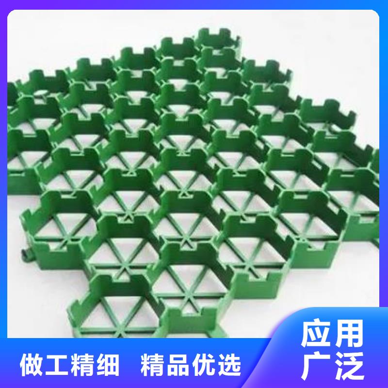 植草格水泥化粪池做工细致