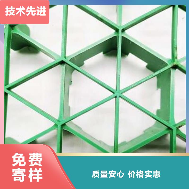 植草格植草格品质过硬