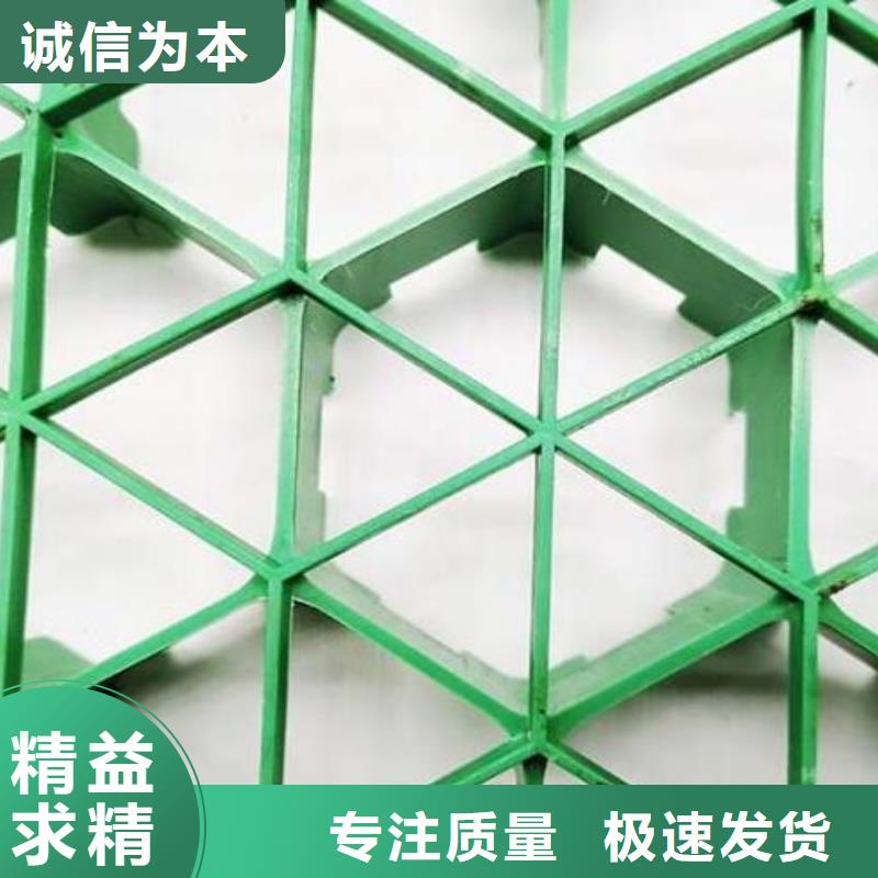 植草格防护虹吸排水收集系统保质保量